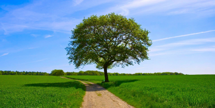 Letní teploty se udrží i o víkendu, pršet nebude, obloha zůstane jasná