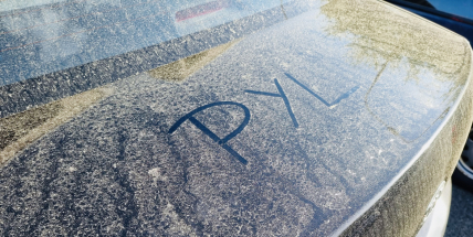 Míra zatížení pylem je stále mimořádná. Jak alergikům pomoci?