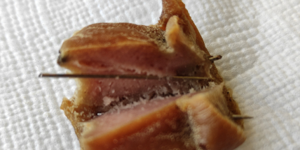 Pejskaři v Příbrami mají strach: Někdo tu odhazuje uzeniny propíchané špendlíky