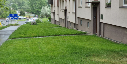 Výsadbu před bytovými domy musí předem schválit technické služby