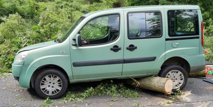 Před projíždějící auto padl strom, řidič nestačil zabrzdit