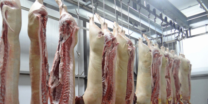 Veterináři se budou zabývat chováním zaměstnanců jatek v Hraběticích