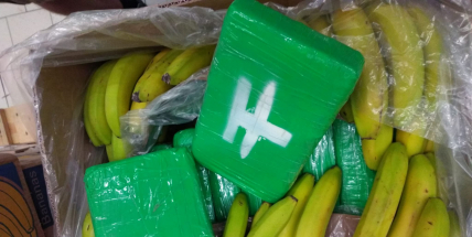 V obchodech v Jičíně a Rychnově našli v krabicích od banánů 840 kilo kokainu