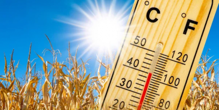 O víkendu bude extrémní vedro, meteorologové doporučují omezit venkovní pohyb starším lidem a dětem