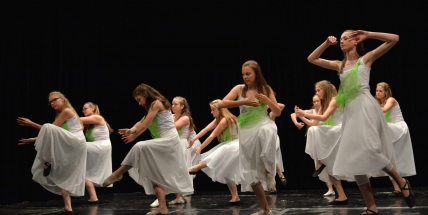 První žáci umělecké školy v Rožmitále se věnovali hře na housle, klavír a akordeon. Psal se rok 1952