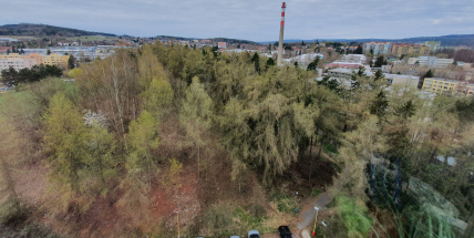 Nejvíce hlasů v participativním rozpočtu veřejnost dala projektu Revitalizace lesíku pod Čertovým pahorkem