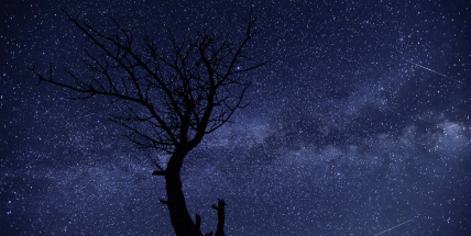 Na ranním nebi můžete spatřit Venuši, Mars, Jupiter a Saturn současně