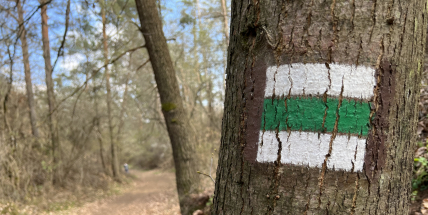 Češi častěji používají mobilní aplikace pro turisty, roste věk uživatelů