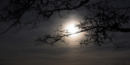 Večer nastane superúplněk, největší v letošním roce