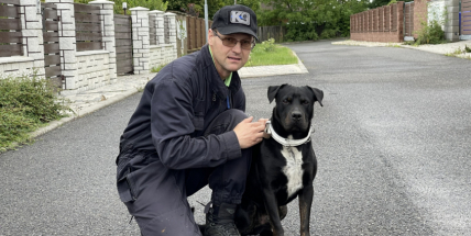 Cvičitel: Jakmile pes začne poznávat svět, zúročuje instinkty, které mu příroda nadělila