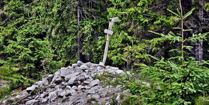 Naučná stezka v Brdech seznamuje s nehostinnými podmínkami na svahu vrchu Tok