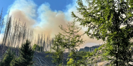 Na území Středočeského kraje je cítit zápach kouře z požáru v Národním parku České Švýcarsko