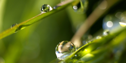 Poslední červencový víkend nebude horký, v sobotu se čeká i déšť