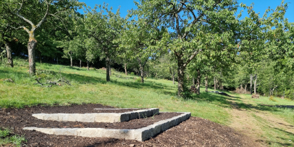 Ve Svatohorských sadech bude vysazeno 600 dřevin