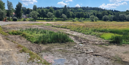 Na Příbramsku kdosi rozsekl psovi hlavu, svázal tlapky, čumák přelepil páskou a hodil ho do vypuštěného rybníka