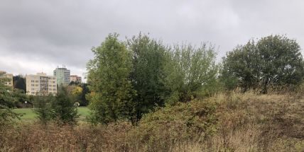 Rada schválila sportovnímu klubu zápůjčku atletického oválu