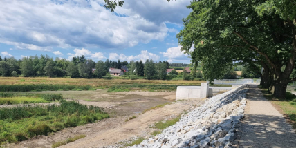 Za informace k dopadení pachatele, který brutálně zbil psa, nabízejí občané deset tisíc