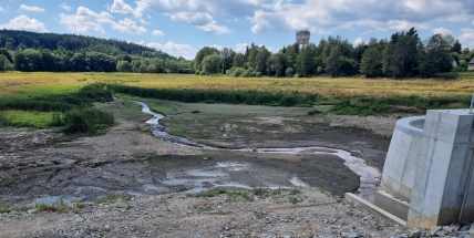 Odměna se zvyšuje. Za dopadení toho, kdo týral psa v Bohutíně, nabízí veřejnost už 30 tisíc