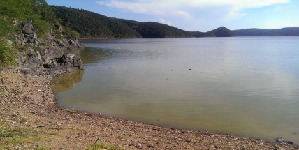 Kvalita vody v Orlíku se zlepšila, ale stále v ní jsou sinice