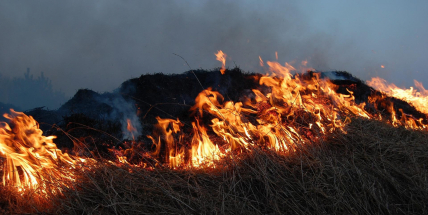 V kraji je kvůli suchu zákaz používání pyrotechniky nebo vjezdu na polní cesty