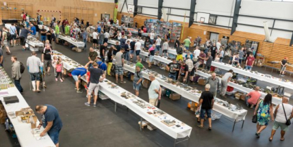 Stíhačka z druhé světové války přeletí nad Dobříší, lákat bude na výstavu modelů