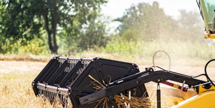 Středočeští zemědělci sklidili téměř 80 procent obilovin