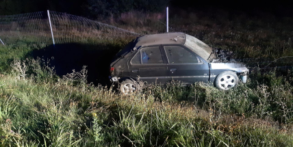 Muž bez řidičáku utekl od nehody, vypátral ho až policejní pes