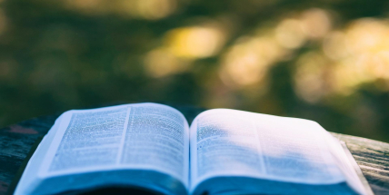 V Jincích uspořádají piknikovou burzu knih