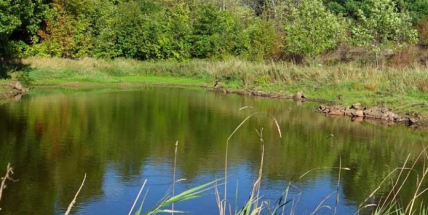 Ve středních Čechách se kvalita vody v přírodních koupalištích mírně zlepšila