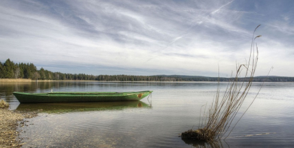 Nedaleko Padrťských rybníků vyroste nová ovocná alej, se sázením pomohou dobrovolníci