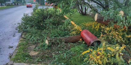 Nad Dobříší se prohnala prudká bouřka, lámala stromy a ničila střechy