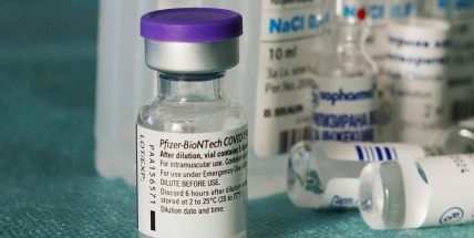 Do ČR dorazily upravené vakcíny na nové varianty koronaviru