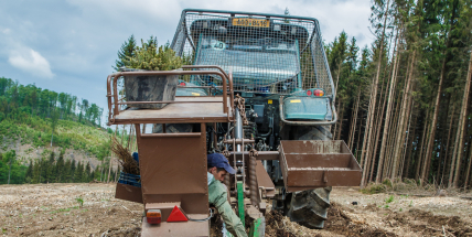 Vojenské lesy vysadily po kalamitě už 100 milionů stromů, oslaví to s návštěvníky akce Brdské stromsázení
