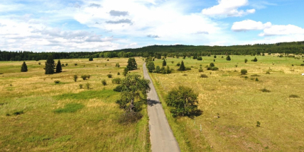 Už v sobotu dobrovolníci vysadí ovocné aleje v srdci Brd, spolu s nimi Dominik Hašek, Lukáš Langmajer či Kryštof Hádek