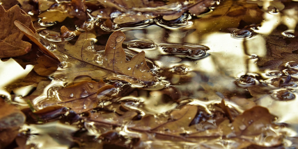 Víkend přinese další ochlazení, teplota klesne přes den až na devět stupňů