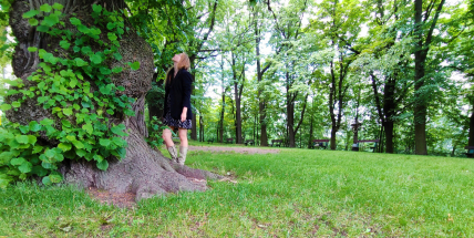 S památnými stromy i péčí o veřejnou zeleň seznámí vycházka po Březových Horách