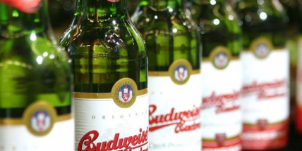 Budvar zdraží od 1. listopadu pivo v ČR v průměru o deset procent