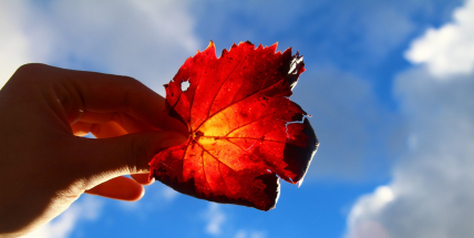 V sobotu bude až 21 stupňů, neděle bude chladnější, ale skoro bez deště
