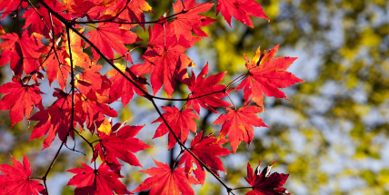 Týden bude relativně teplý a oblačný