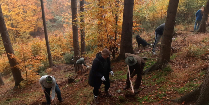 Tisíce lidí dorazily na paseky ve všech krajích, aby se připojily ke Dni za obnovu lesa 2022