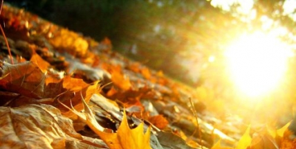 Po rekordně teplé neděli nás čeká další slunečný den a až 23 stupňů