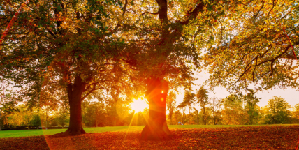 Na 12 místech ČR padly teplotní rekordy