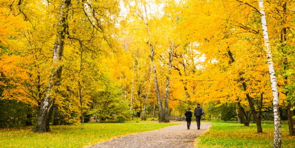 Předpověď počasí na víkend slibuje téměř letní teploty