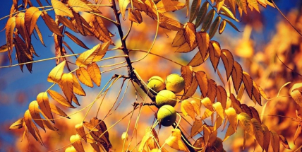 Teplotní rekordy dnes padly zhruba na 20 místech