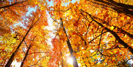 V Rožmitále dnes padl teplotní rekord, meteorologové zde naměřili téměř 23 stupňů