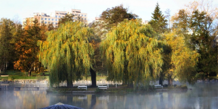 Na konci října zažilo Česko díky horkému vzduchu z Afriky letní den, v Příbrami bylo 23,7 stupně Celsia