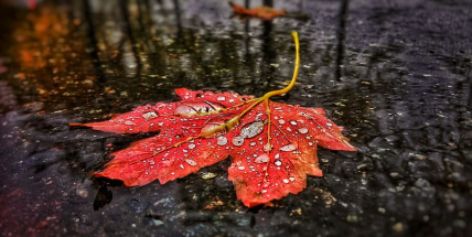 Tento týden se ochladí, přes den teploty spadnou až na sedm stupňů