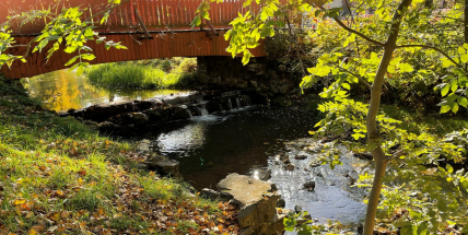 Voda a její význam: Knihovna zve na setkání s krajinářskou architektkou