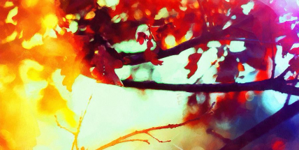 Letošní říjen v Klementinu patřil mezi nejteplejší za 248 let