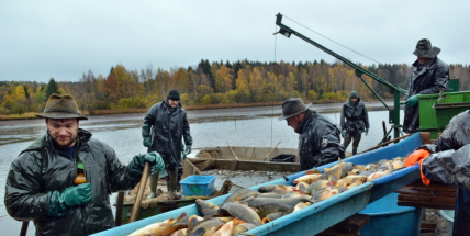 Rybáři ve středu vyloví v Brdech jeden z dvojice Padrťských rybníků